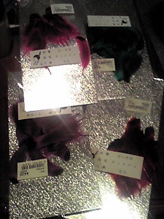 DAKKU.JPG - 32,301BYTES