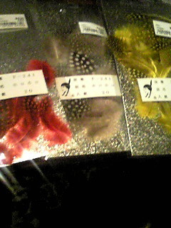 HOROHORO.JPG - 29,654BYTES